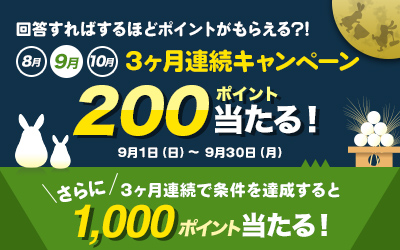 3ヶ月連続キャンペーン詳細