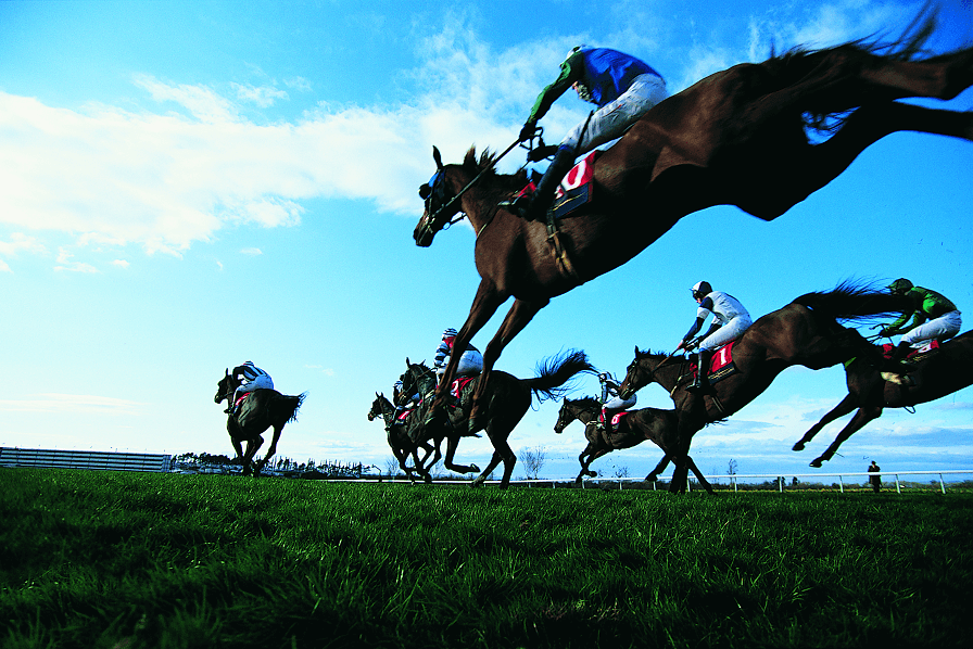 初めて入った競馬場がアミューズメントパークのようで驚きました。