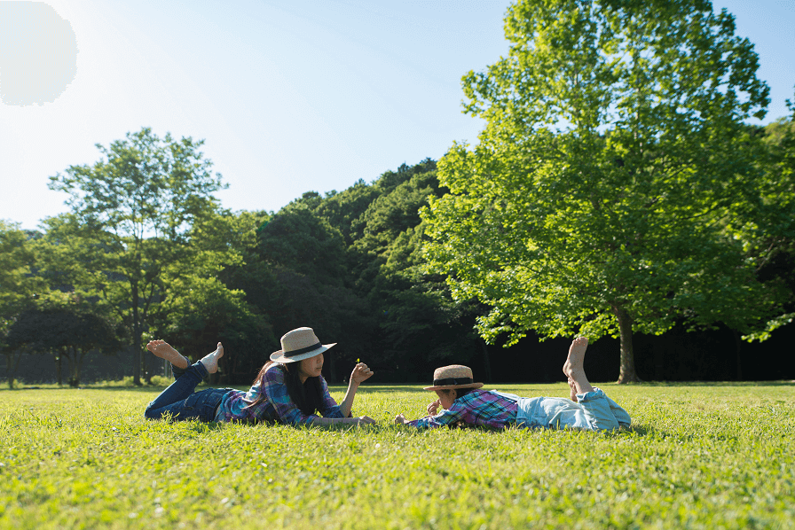 節約主婦必見！理想の支出目安と平均値
