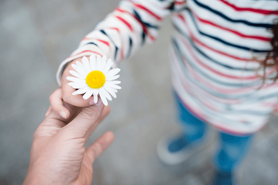 お子様から花をいただく