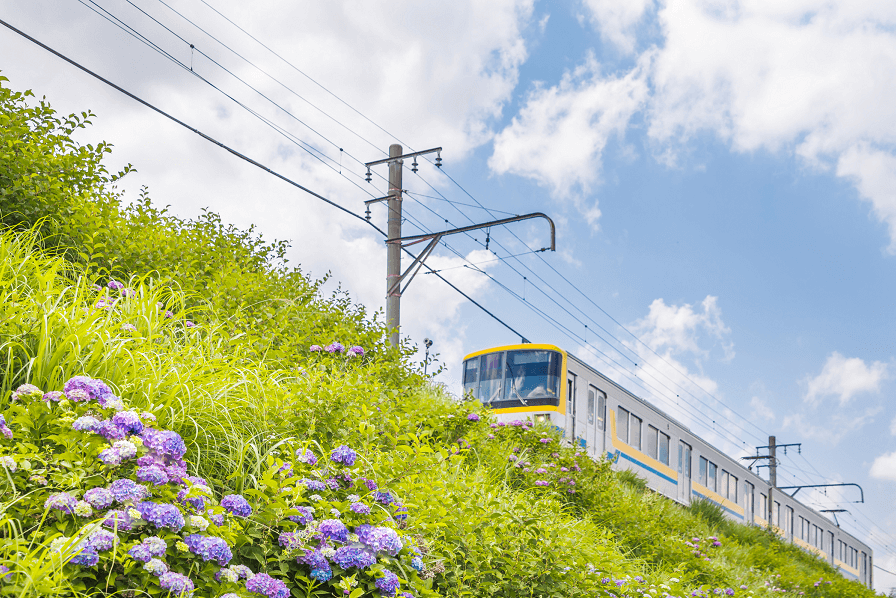 地方の副業するときの注意点